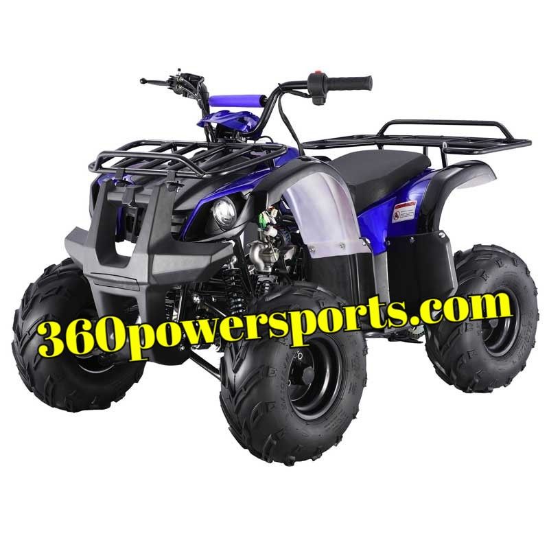 Buy the TaoTao ATA-125 D ATV | Kids 120cc Four Wheelers